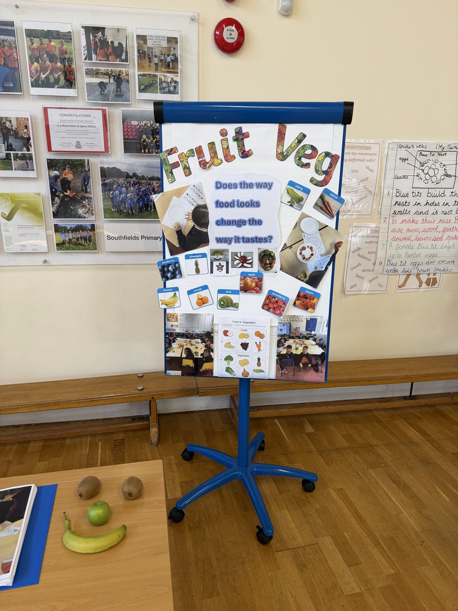 Southfields Primary School tweet media