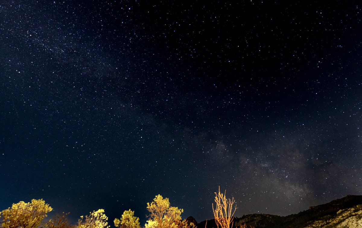 Rathbones of Keswick tweet media