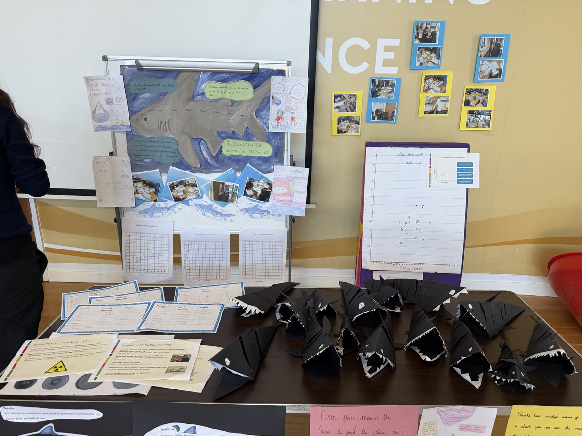 Southfields Primary School tweet media