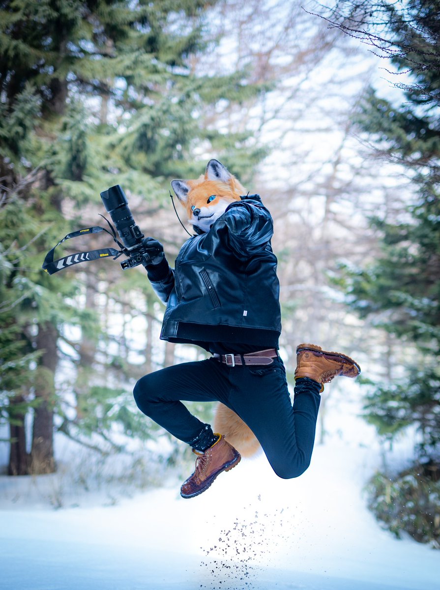 しゃとる（雷鳥の人）🦃🦊 tweet media