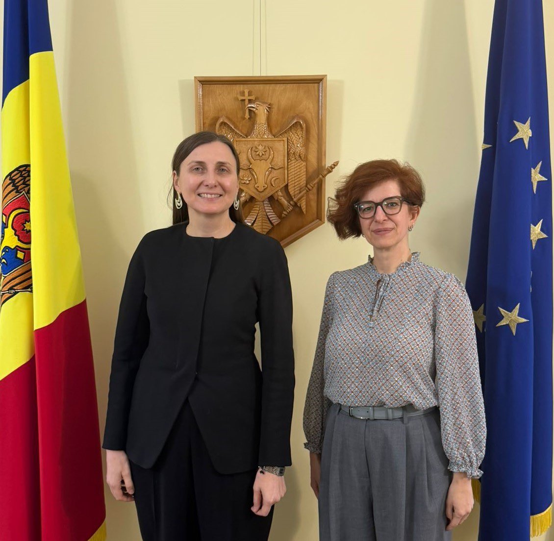 Daniela Morari tweet media