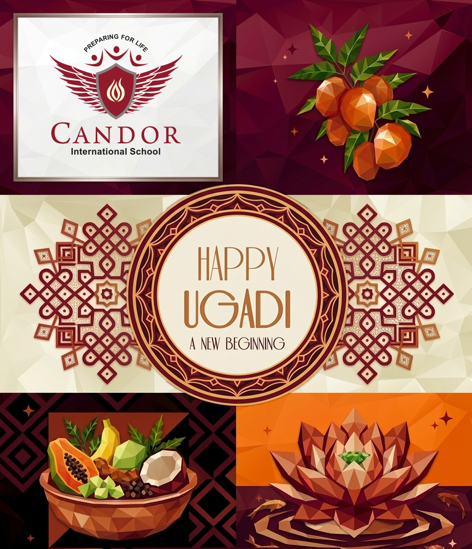 Candor International School tweet media