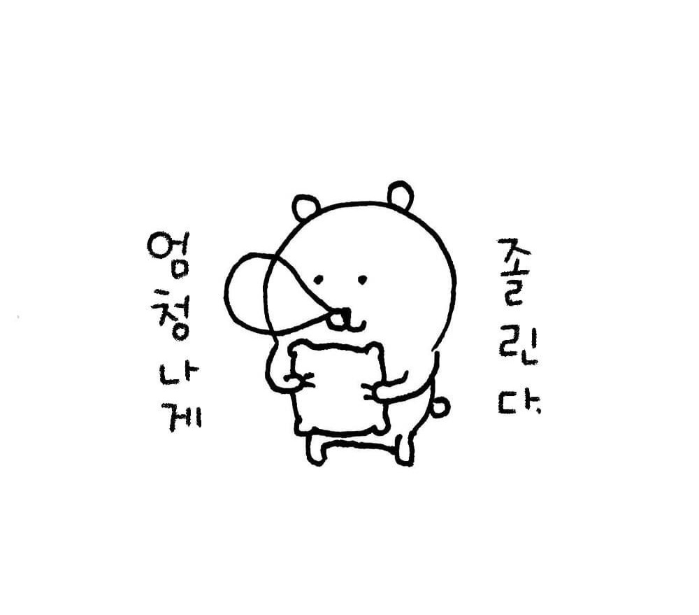 농담곰 짤 백업용 계정 tweet media