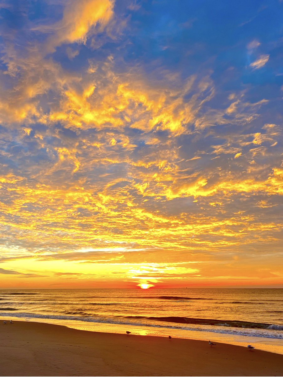 Joseph Fox tweet media