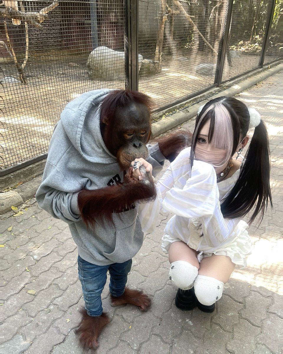 Καλός tweet media