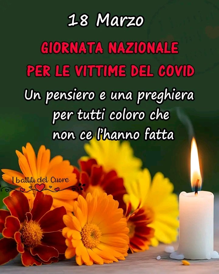 Monica (@monicavda83) on Twitter photo 