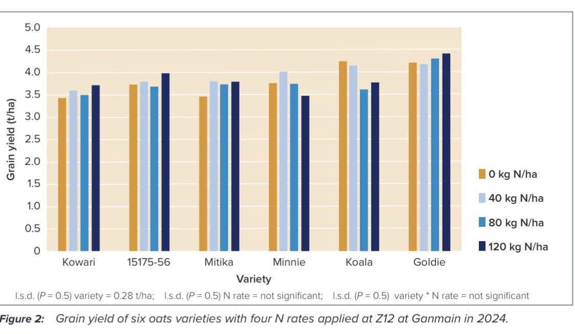 Graeme Sandral tweet media