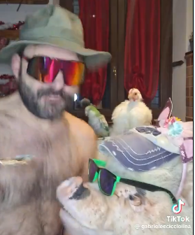 TheoFlipLife tweet media