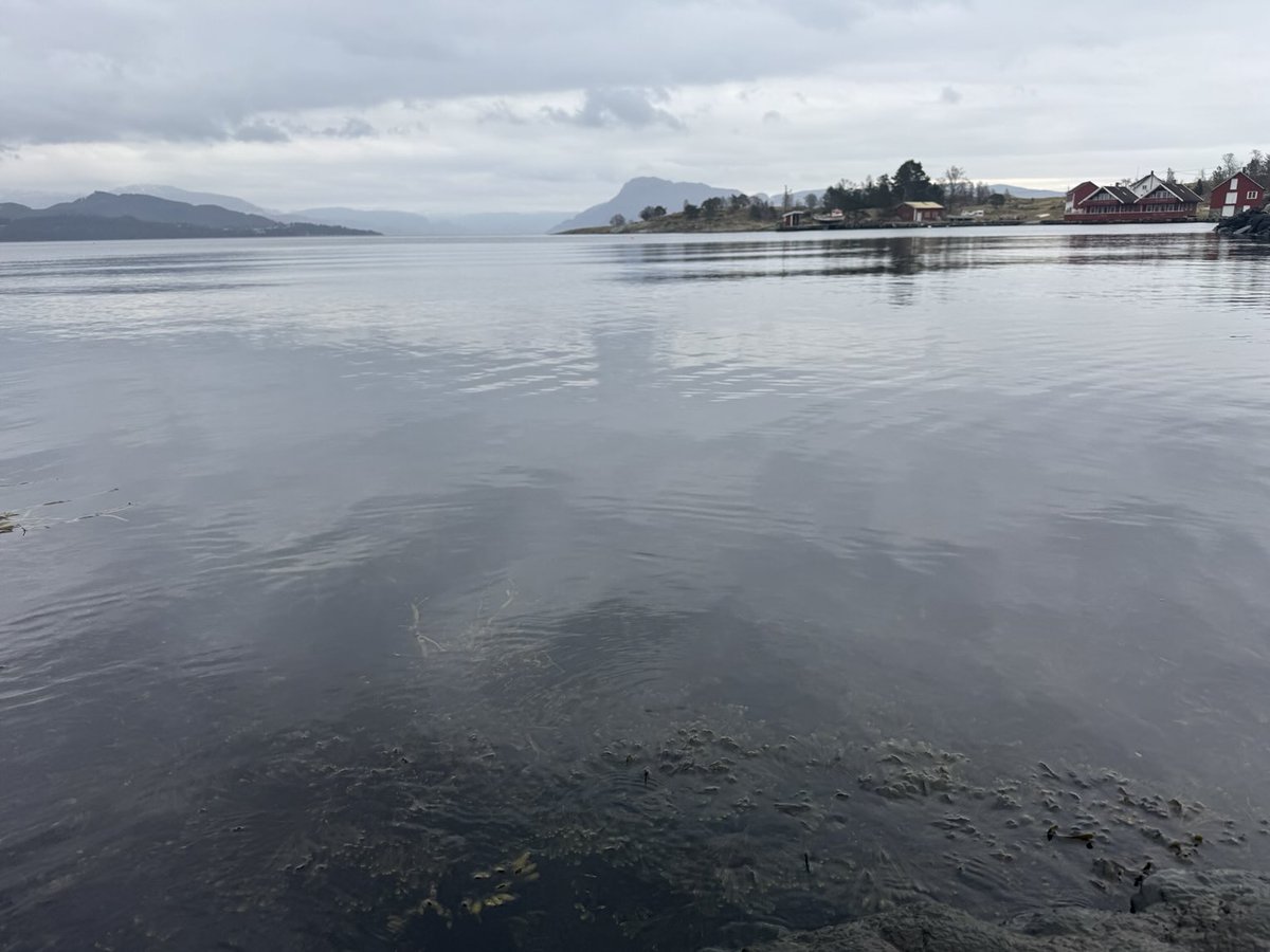 Esther Moe tweet media