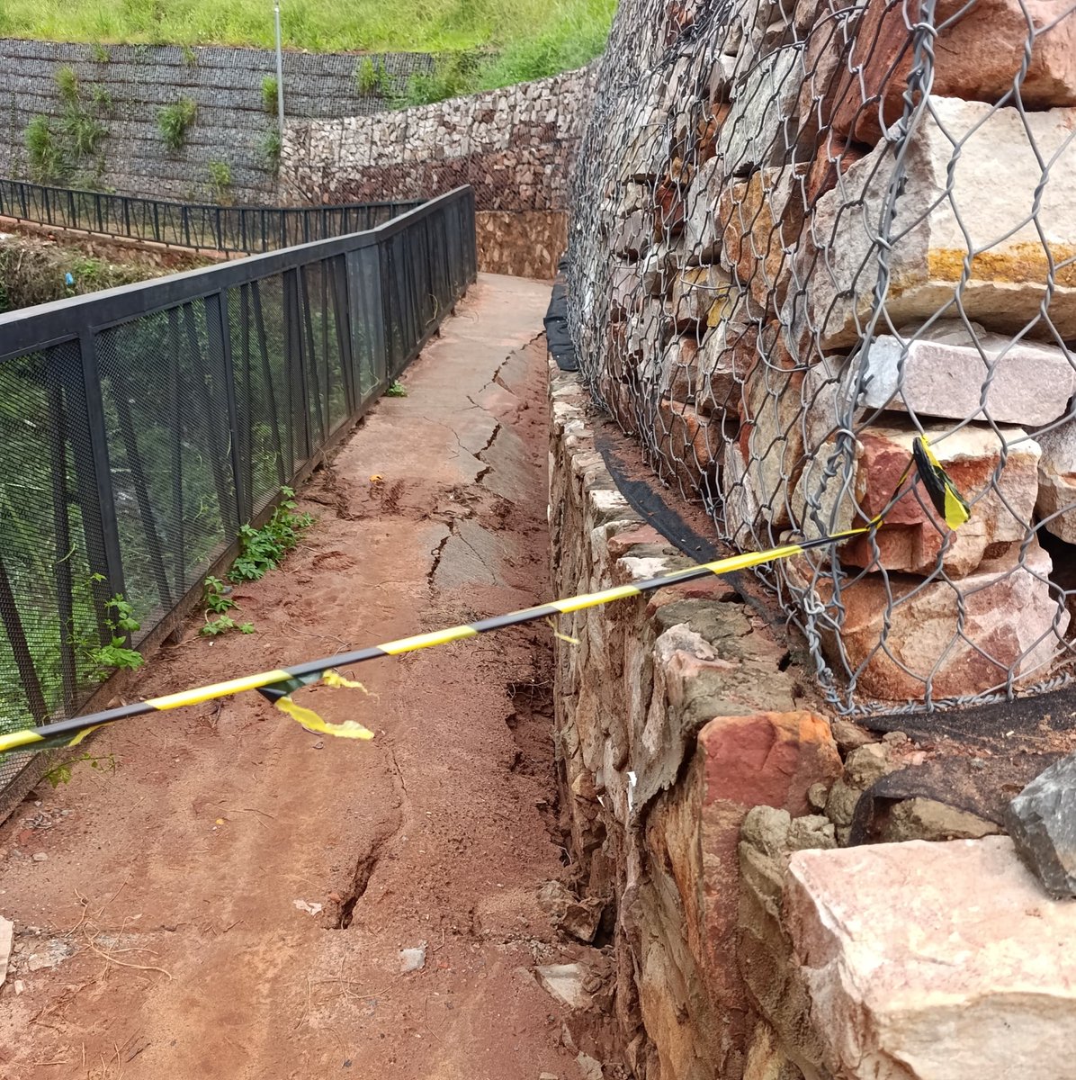 Sole Núñez tweet media