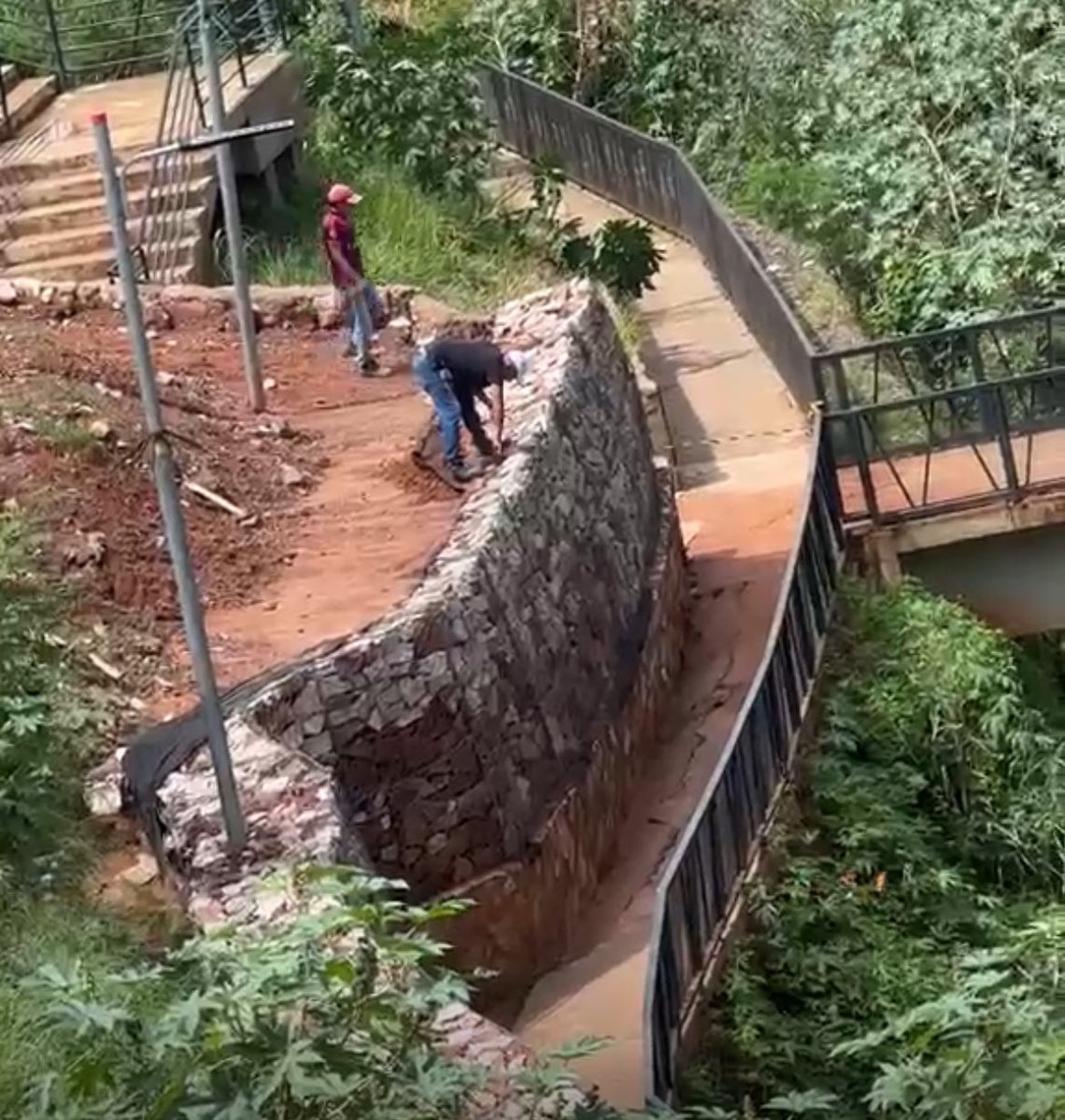 Sole Núñez tweet media