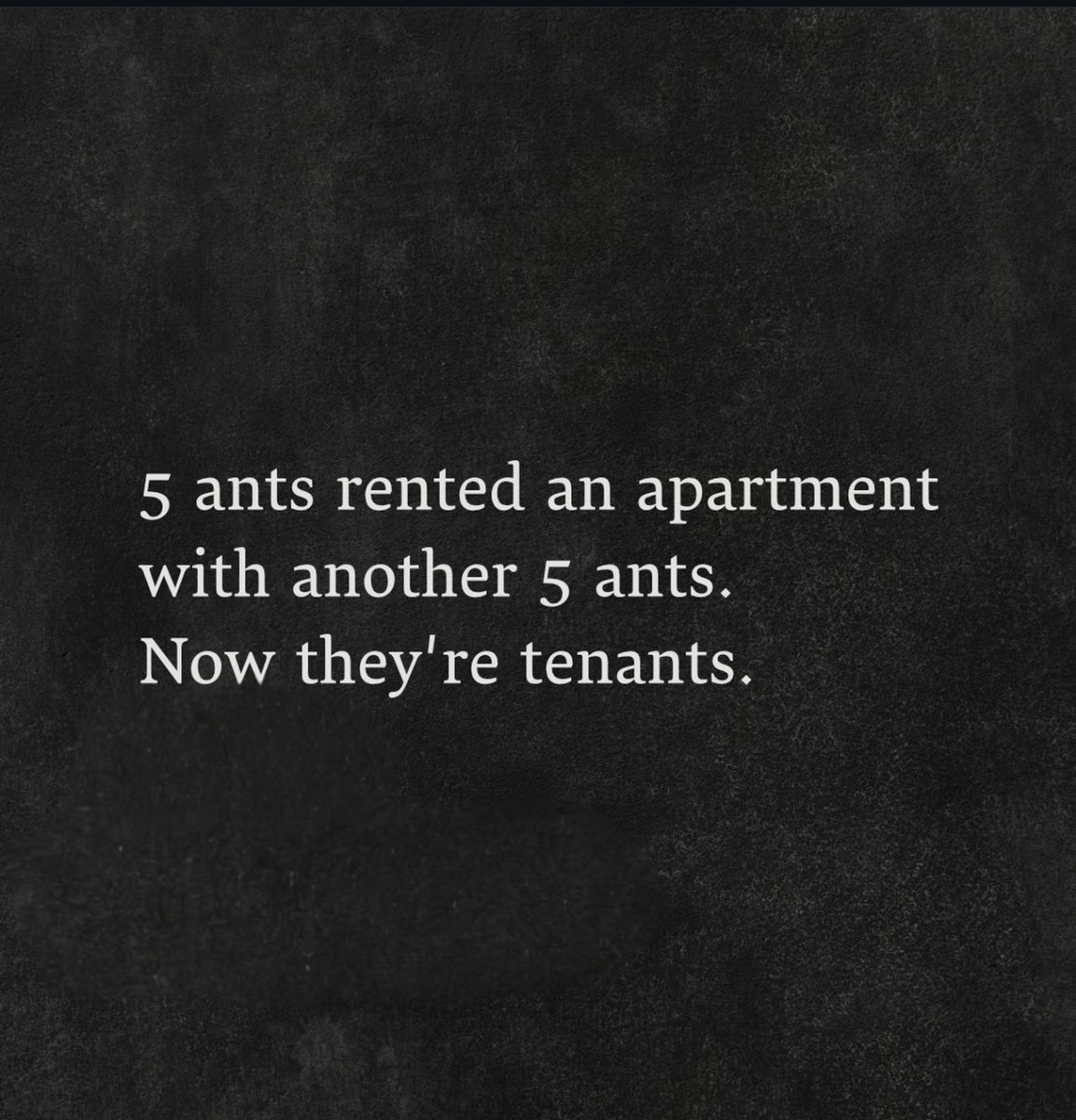 Aline Magalhaes tweet media