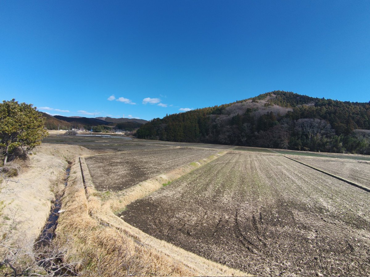 高野馨太＠農家見習い tweet media