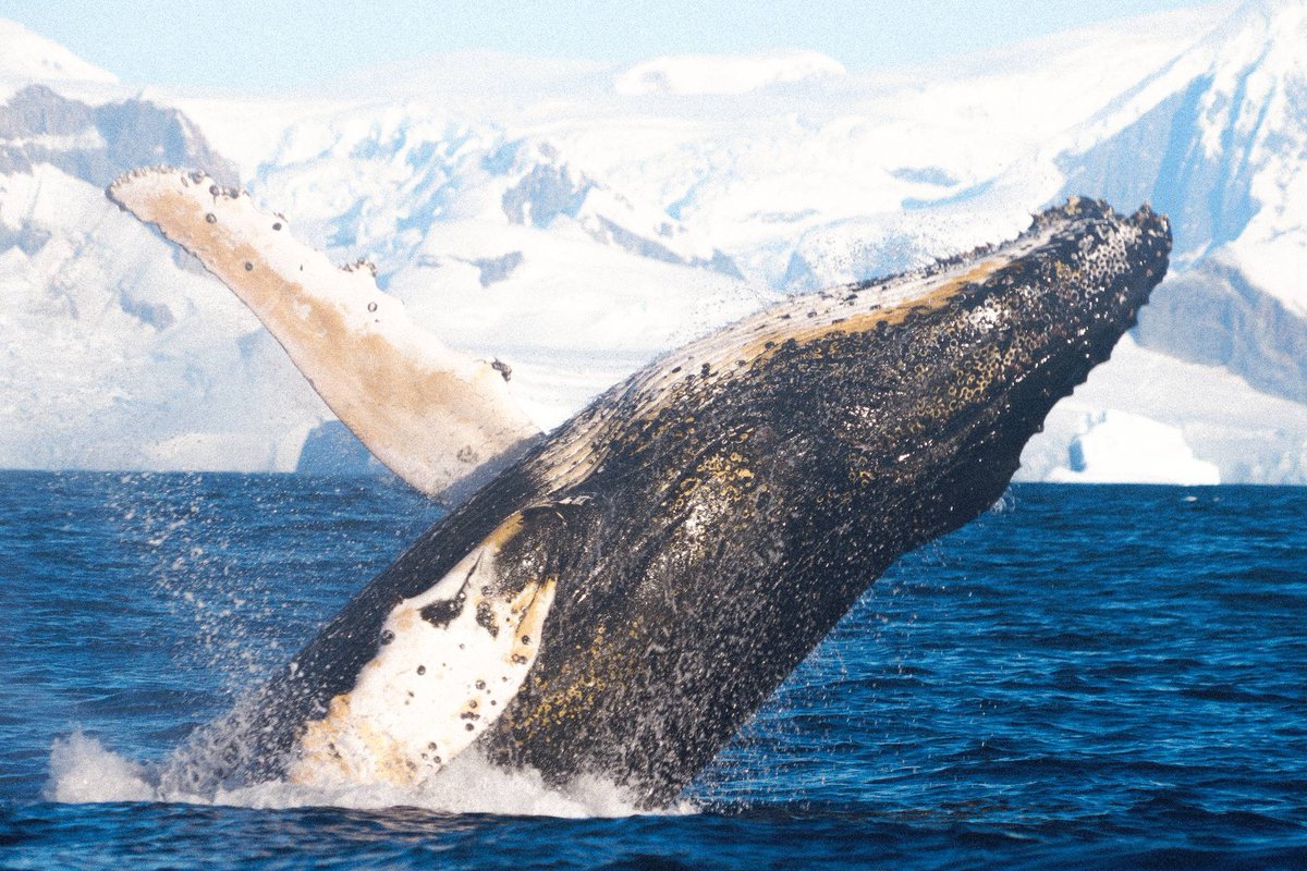 UkraineWorld tweet media