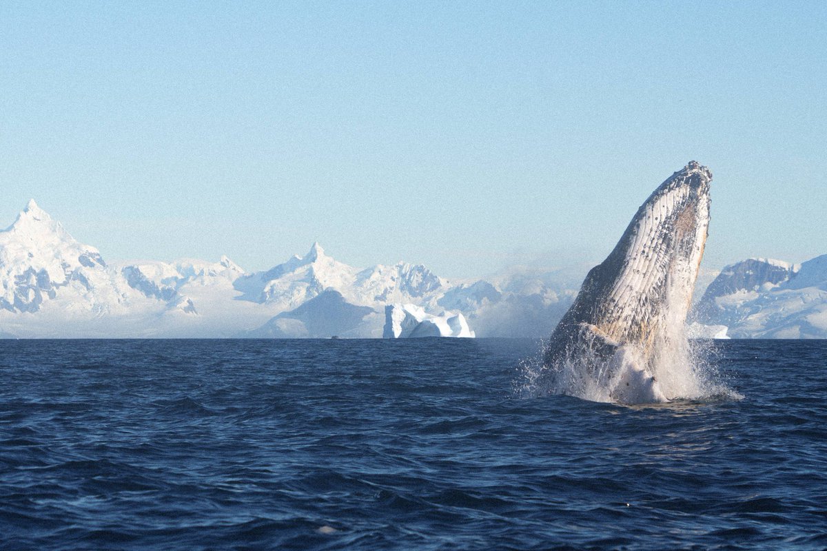 UkraineWorld tweet media