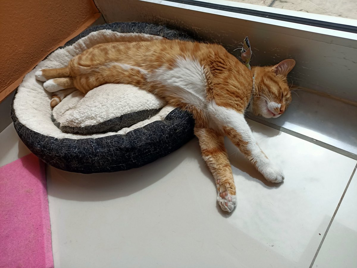 kılavatlı Paris tweet media