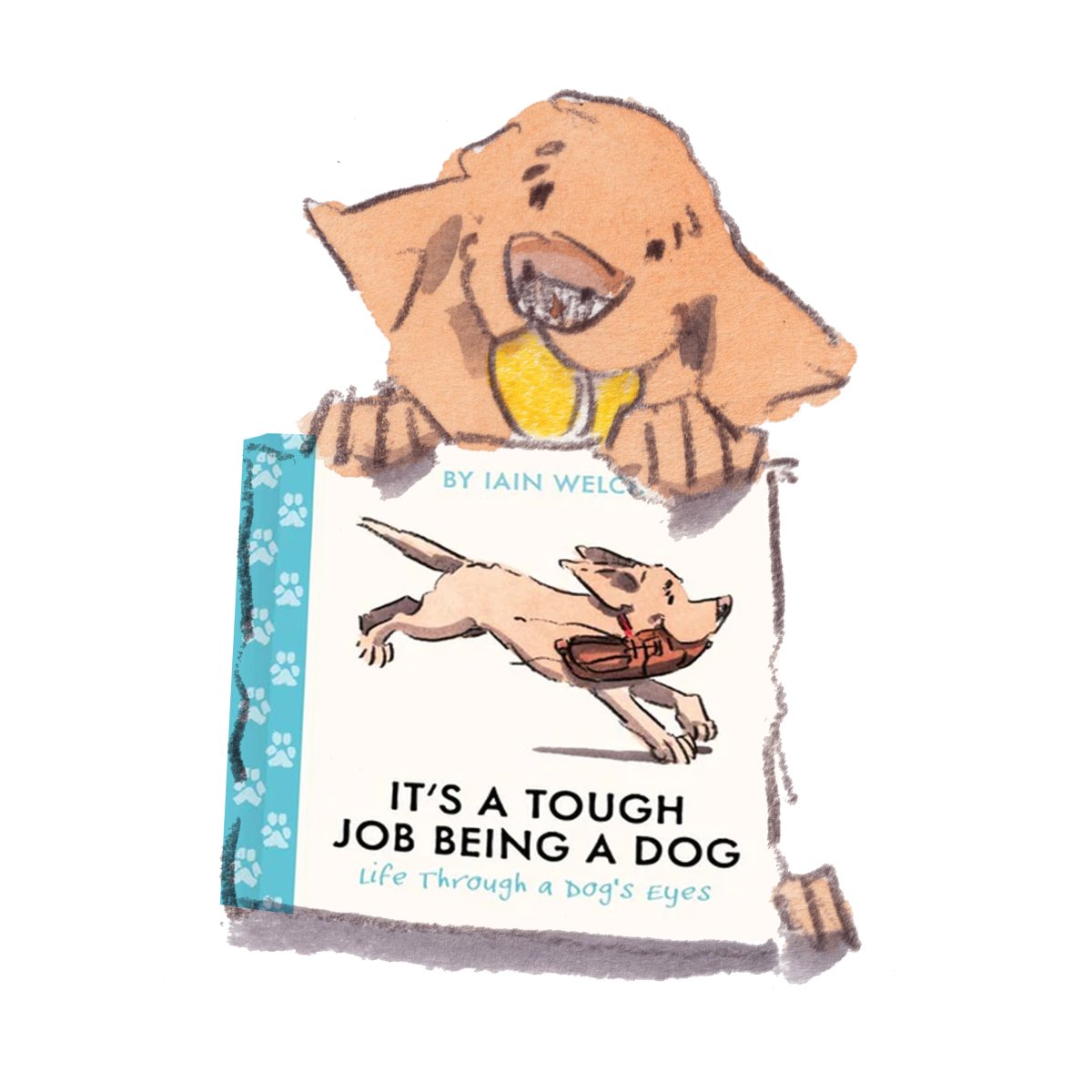 iain welch tweet media