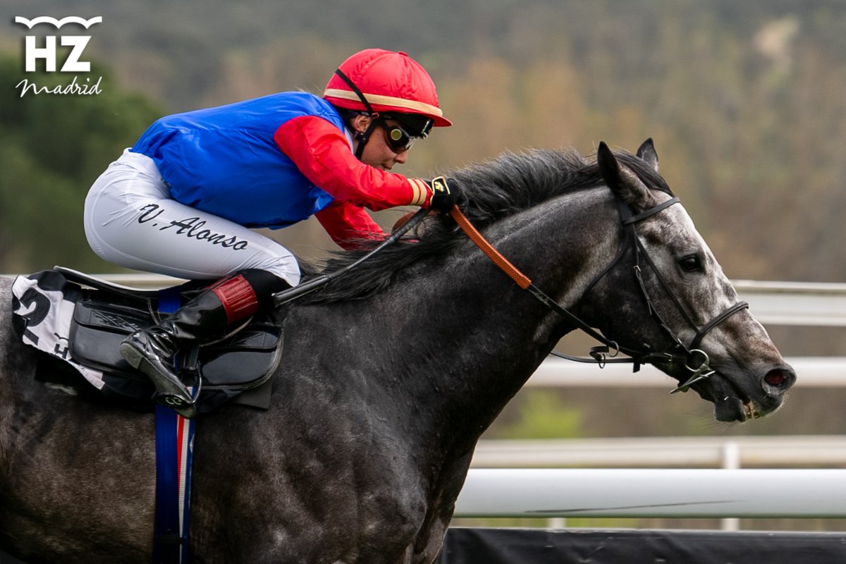 Hipódromo de La Zarzuela tweet media