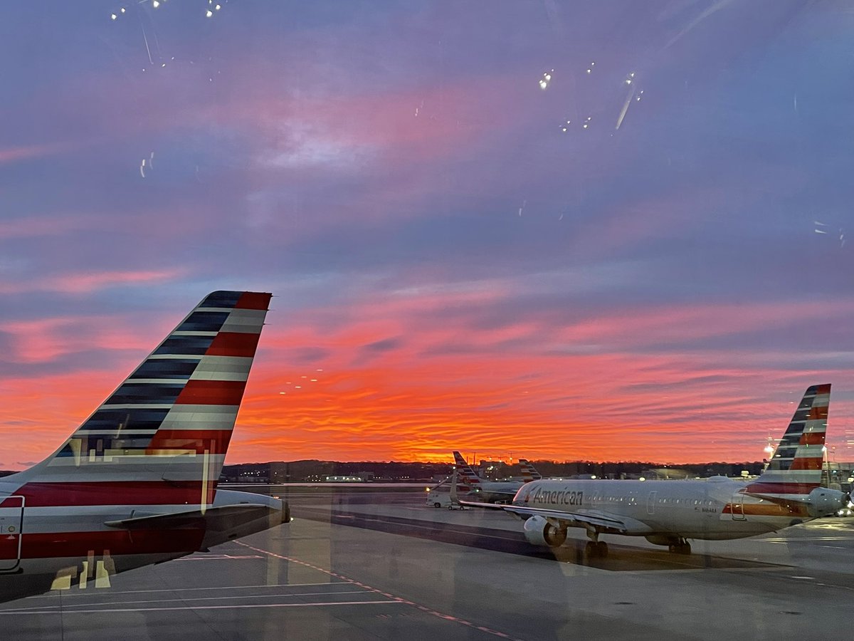 Jovita Neliupšienė tweet media