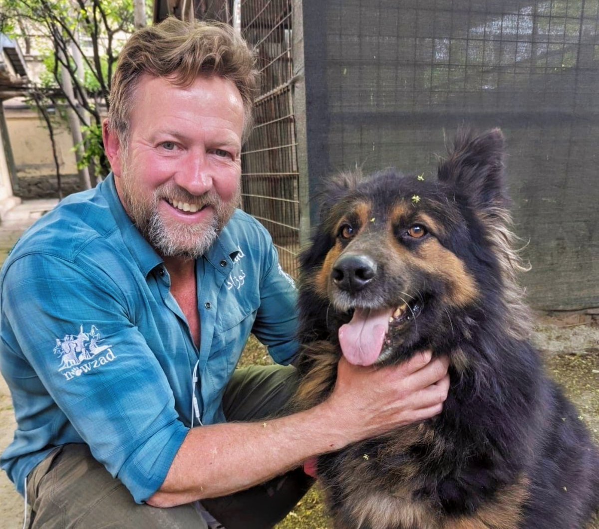 Pets Magazine tweet media