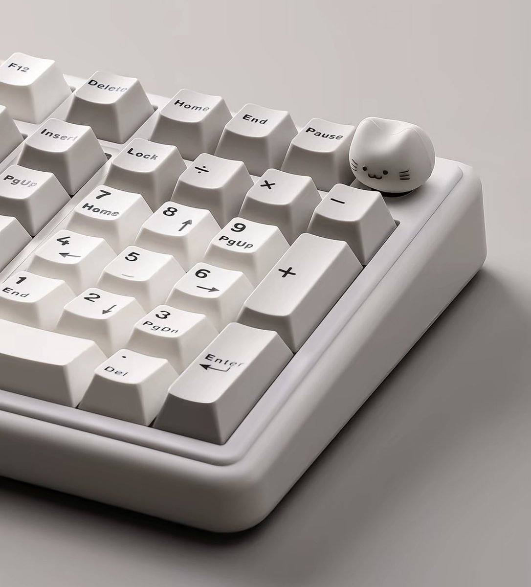 𝐯𝐢𝐯𝐢 tweet media