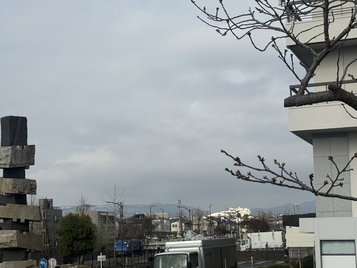 #一般質問 がスタート
初日は6名の議員が登壇し、市政の課題や地域の問題について質問が行われました
様々な視点の議論があり、私にとっても勉強になる一日でした
東京では桜の開花宣言が出たようですが、秦野市役所の桜はもう少し
春の気配を感じながら議会は続きます🌸
shinjiyahiro.com/2026/03/18/03-…