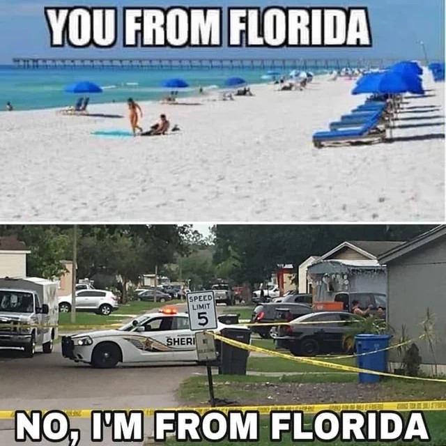 AiAlpha.bet tweet media