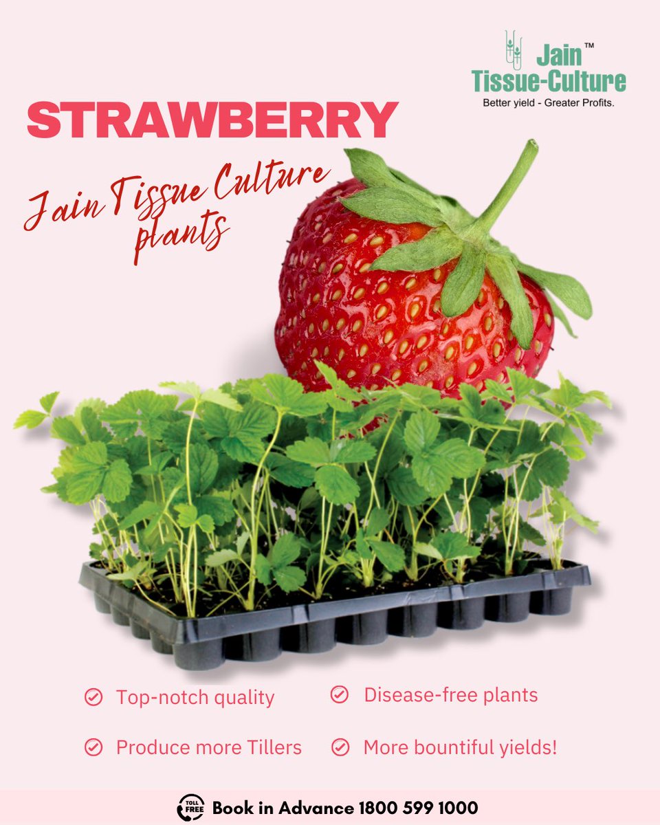 BetterYields_GreaterProfit tweet media