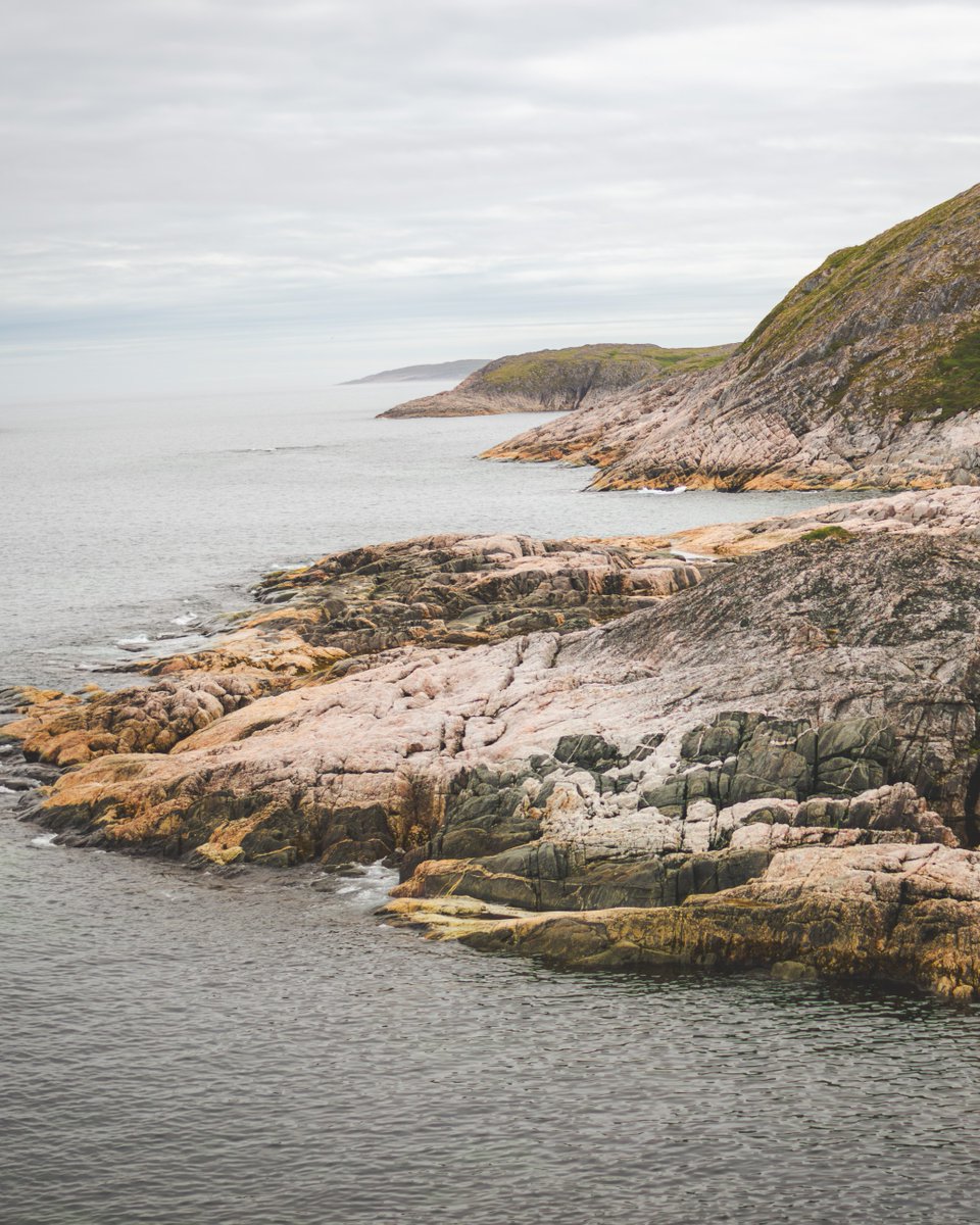 Battle Harbour tweet media