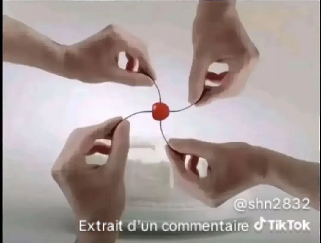 Cepelora tweet media