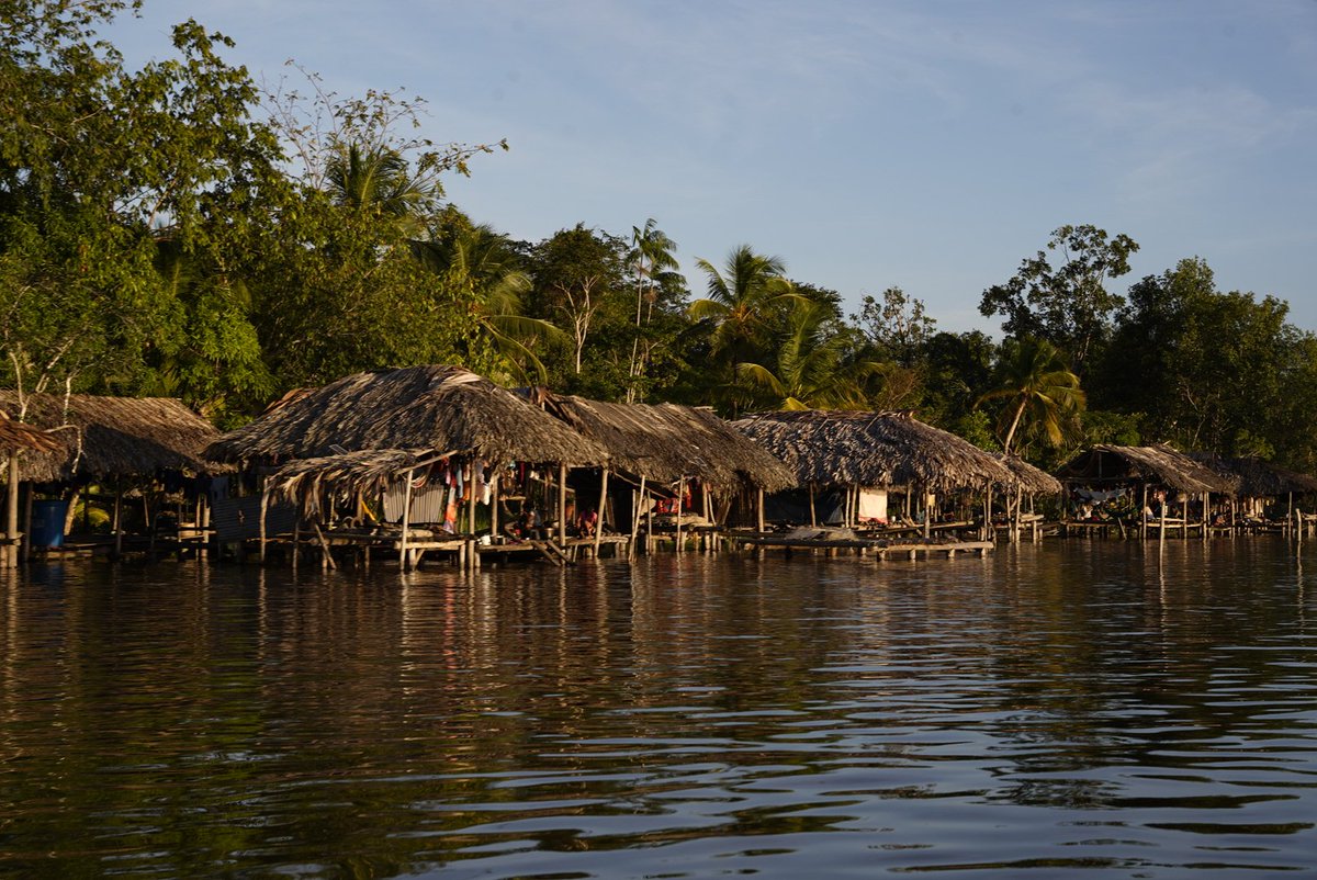 tineophoto's tweet photo. Cumplí otro sueño, visite otro lugar que quería conocer, el #Deltadelorinoco 🐢🐊

Vinimos a dar amor y ayuda a los #Waraos ♥️ https://t.co/6RotFJc2pY
