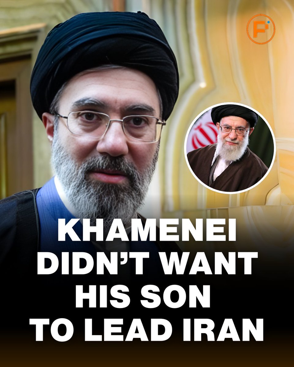 Polyburg Terminal tweet media