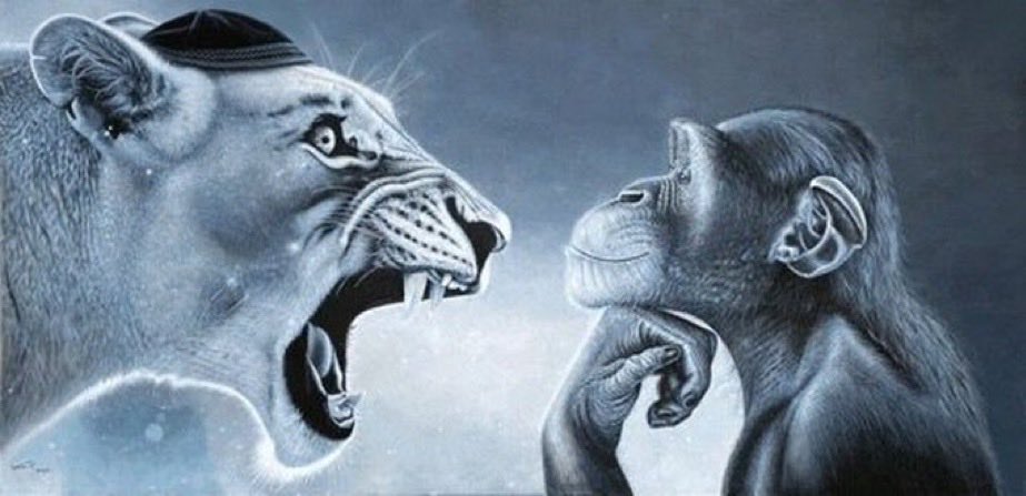 Thomassssssss tweet media