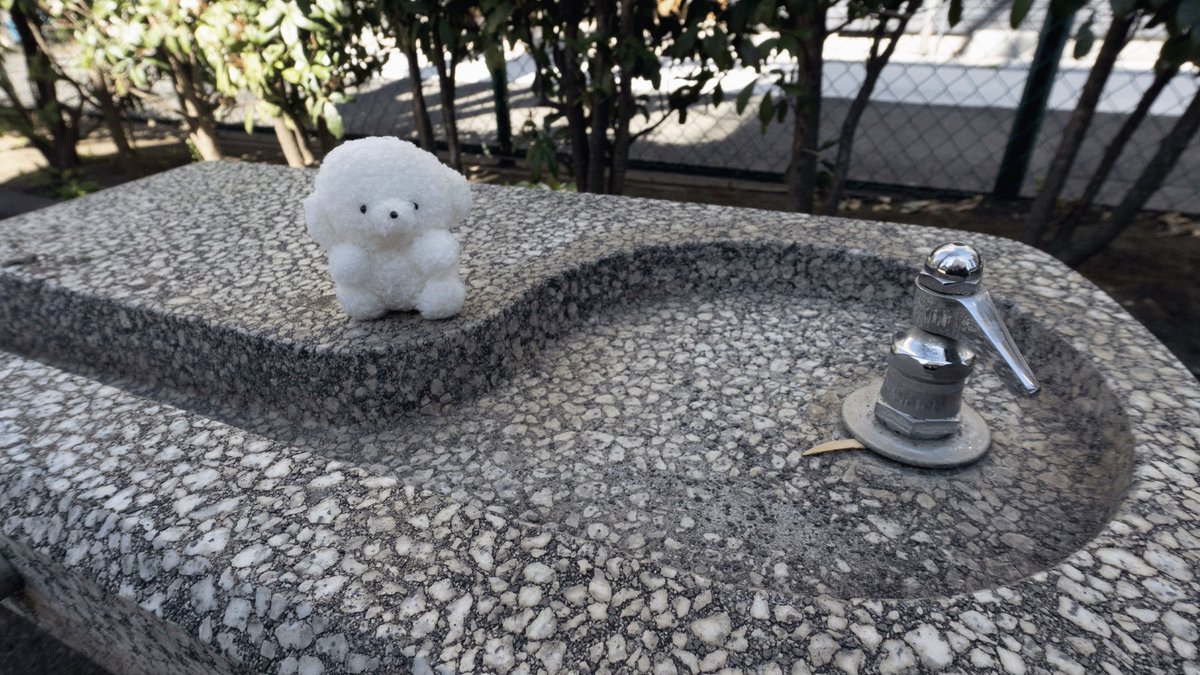 じょせまる tweet media