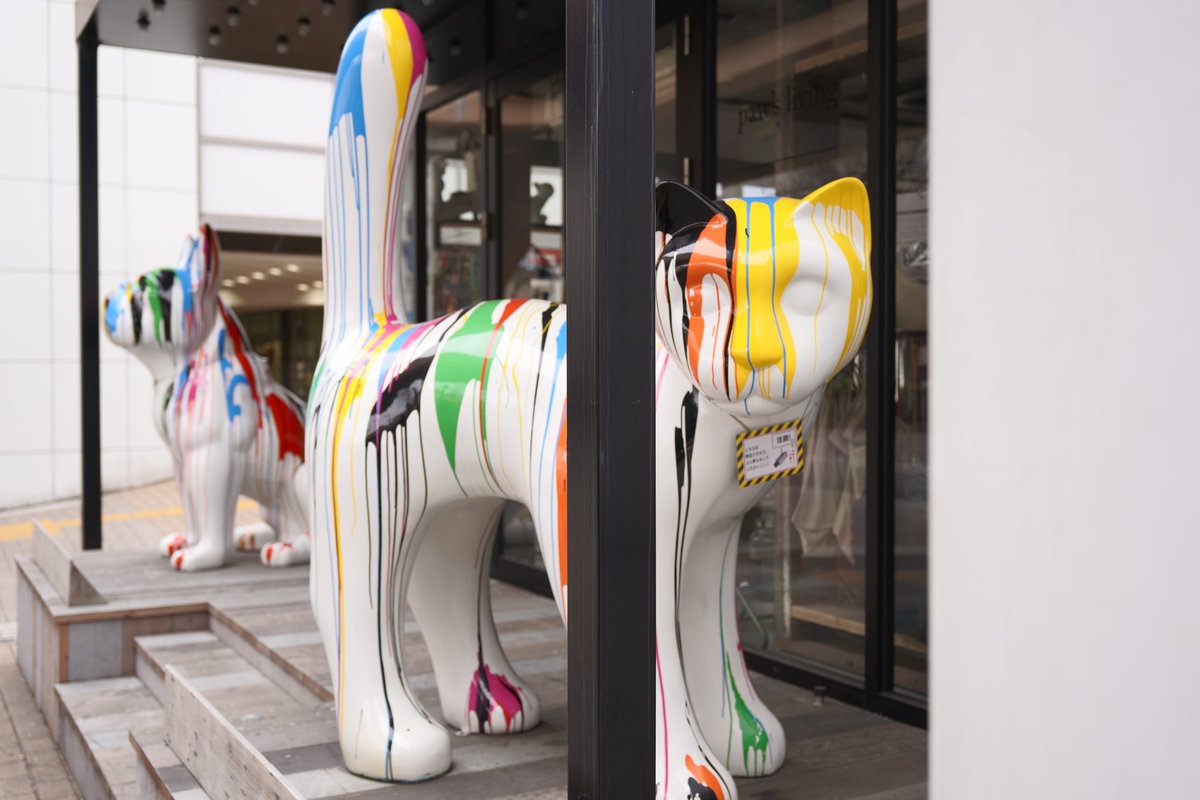 8jime1's tweet image. na-n

SONY ILCE-7M3(α7Ⅲ)
SIGMA 28-70mm F2.8 DG DN Contemporary

#a7III
#photography