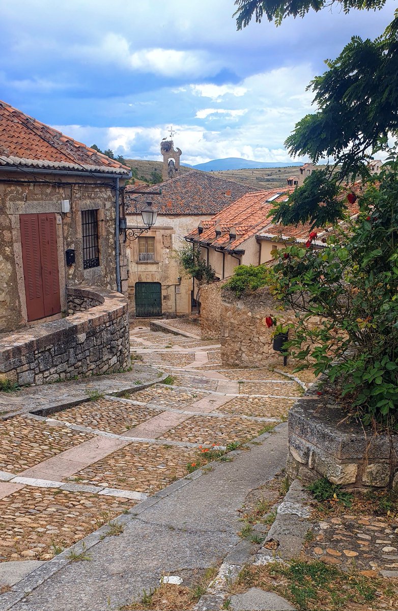 bardenasireales tweet media