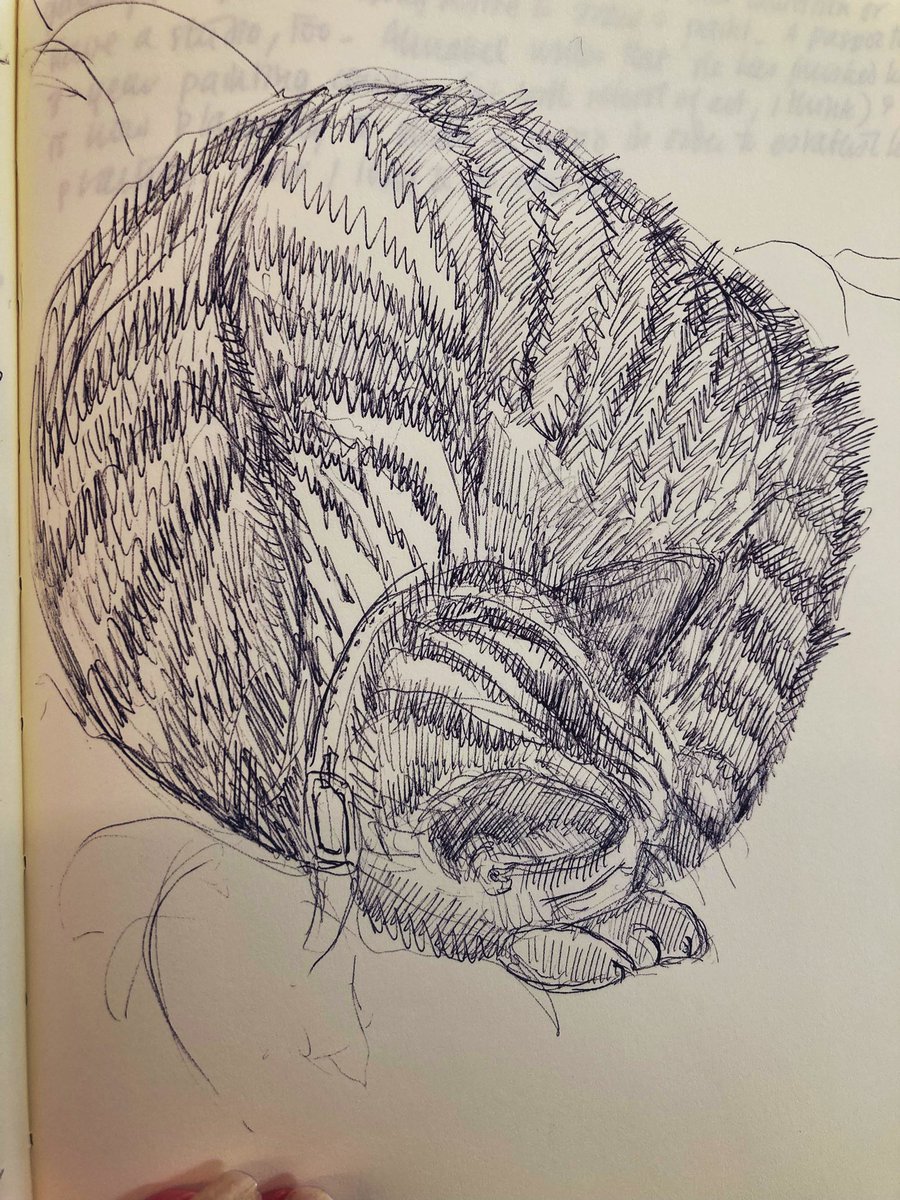 Prof Sara Lodge tweet media