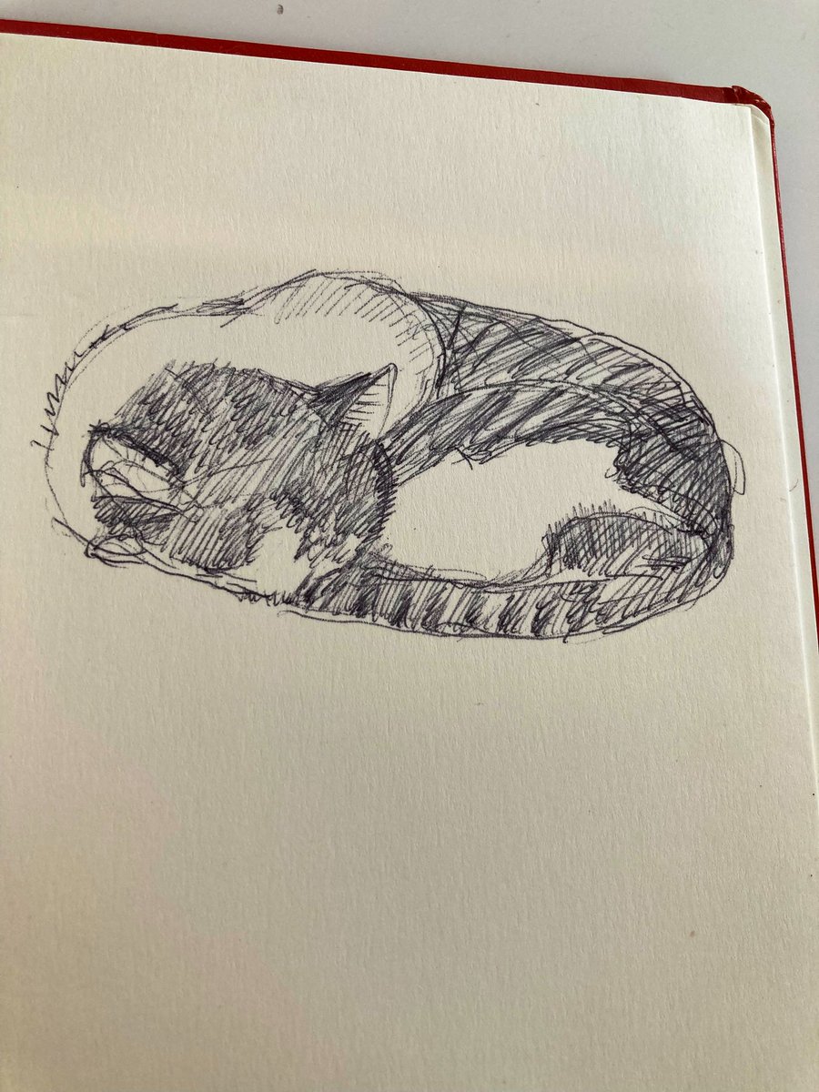 Prof Sara Lodge tweet media