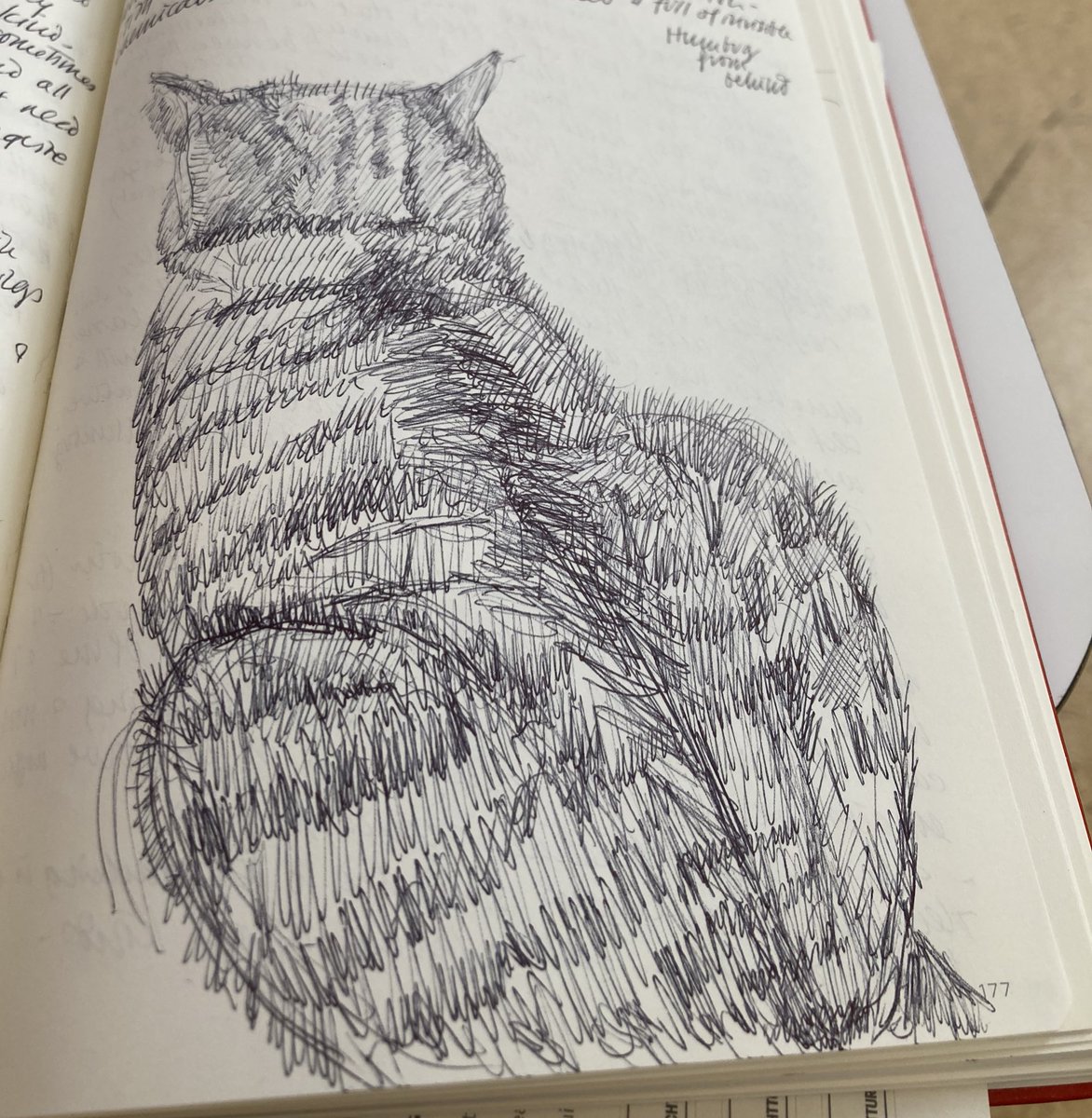 Prof Sara Lodge tweet media