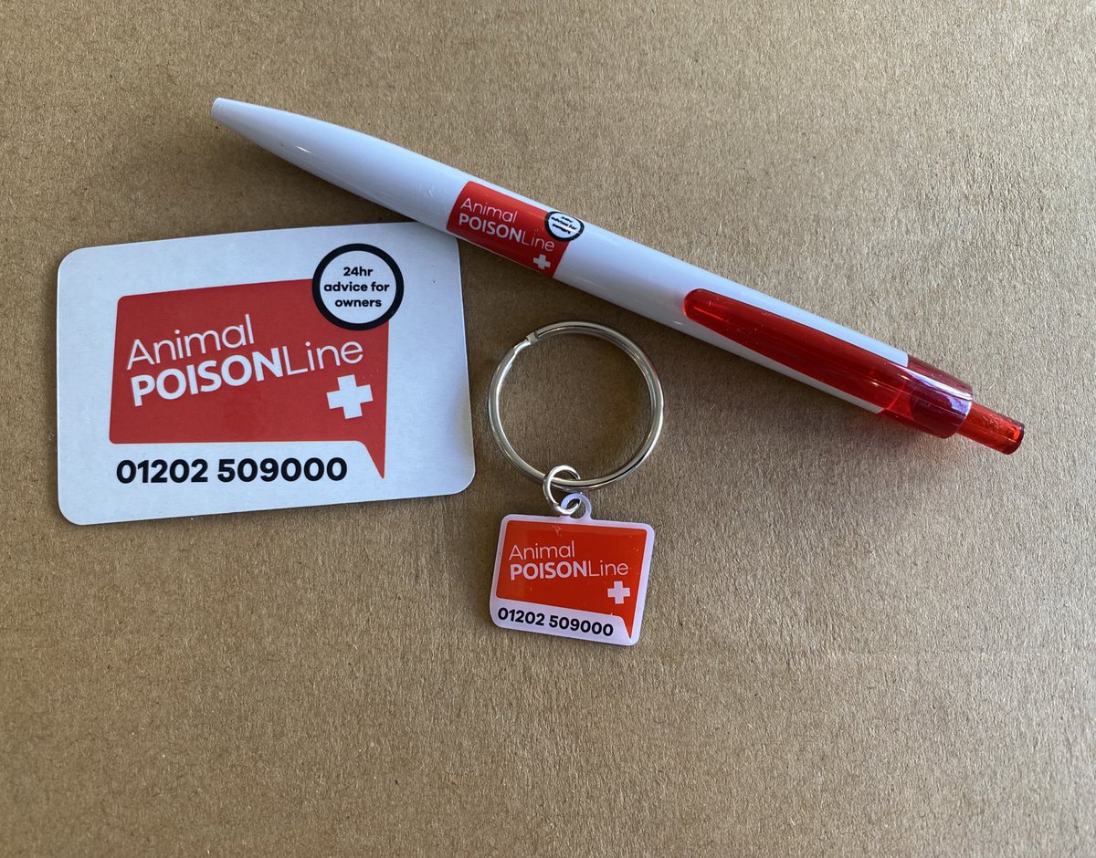 BeMoreBob tweet media