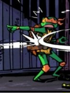 Mini 🐢 tweet media