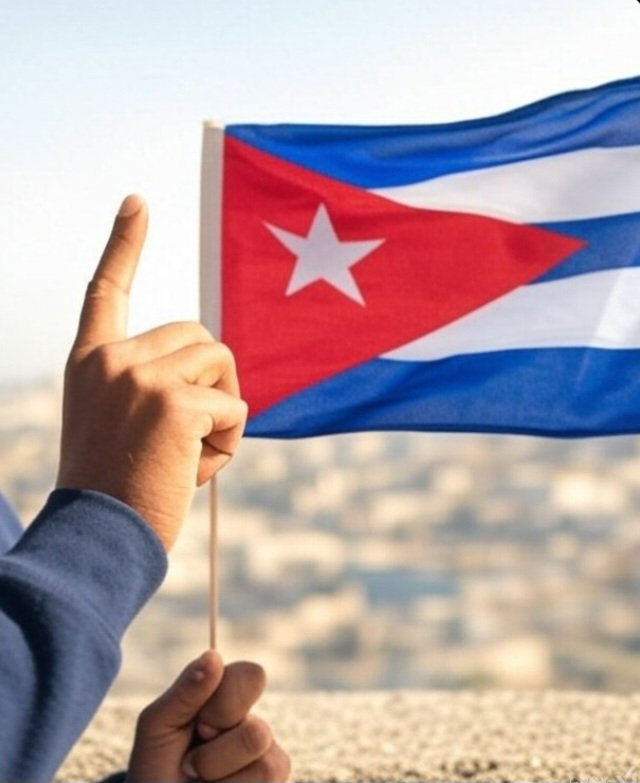 DEMF🦈🇨🇺 tweet media