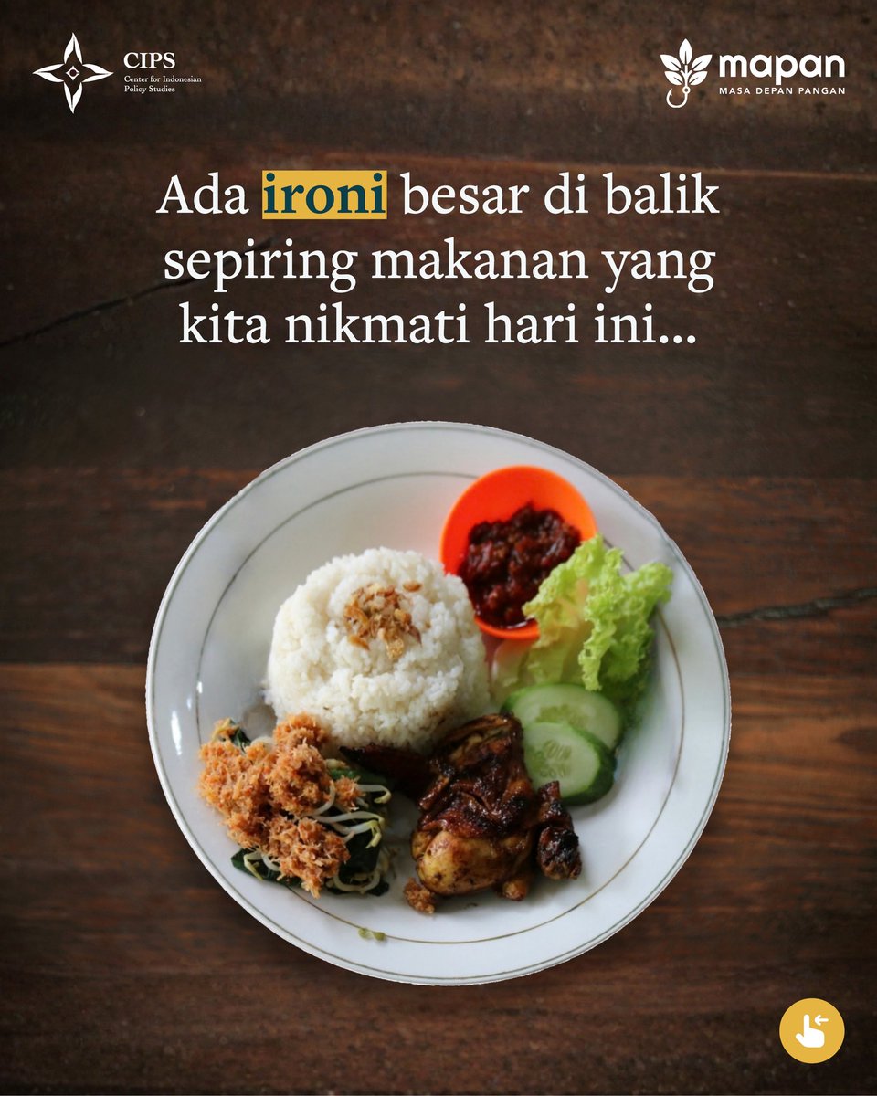 CIPS Indonesia tweet media