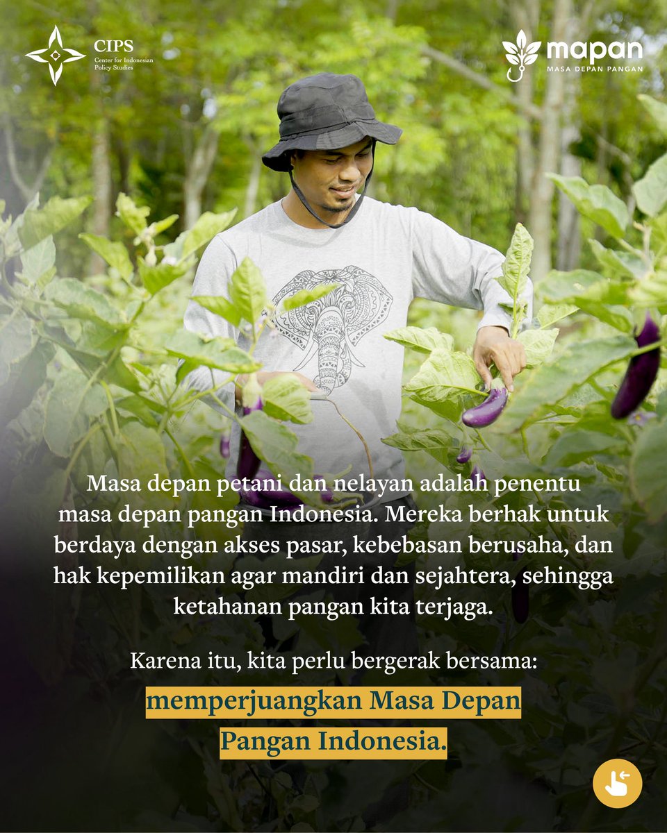 CIPS Indonesia tweet media