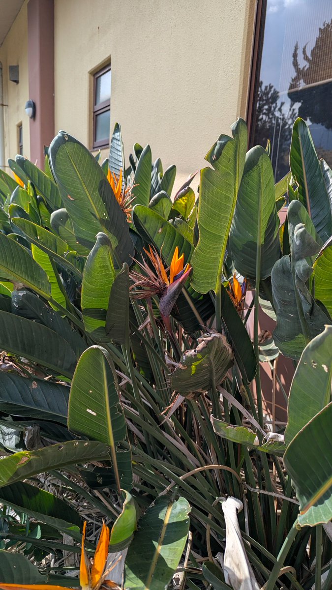 ミツビシ tweet media