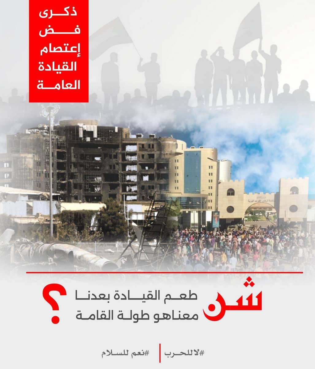 Selma Nour tweet media