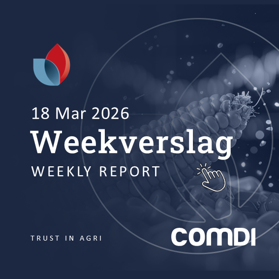 comdiagri's tweet photo. Die nuutste WASDE verslag is bekend gemaak.

Lees meer hier - https://t.co/Hzraa7Ctt9

#COMDIAgri #JSE #Trading #Investment #AgriculturalMarket #Boere #Farming #GrainTrading #SAFEX #Weekverslag #landbou https://t.co/R3us0XStOL