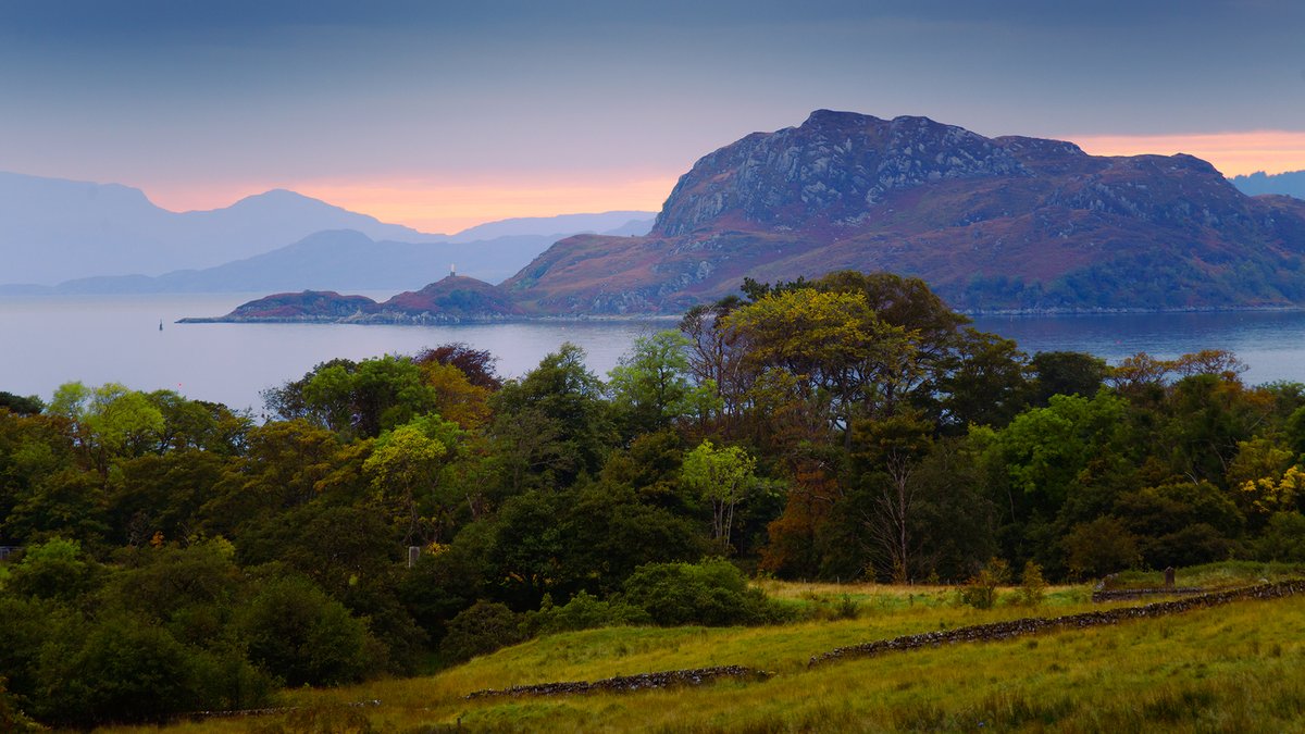 Damian Shields tweet media