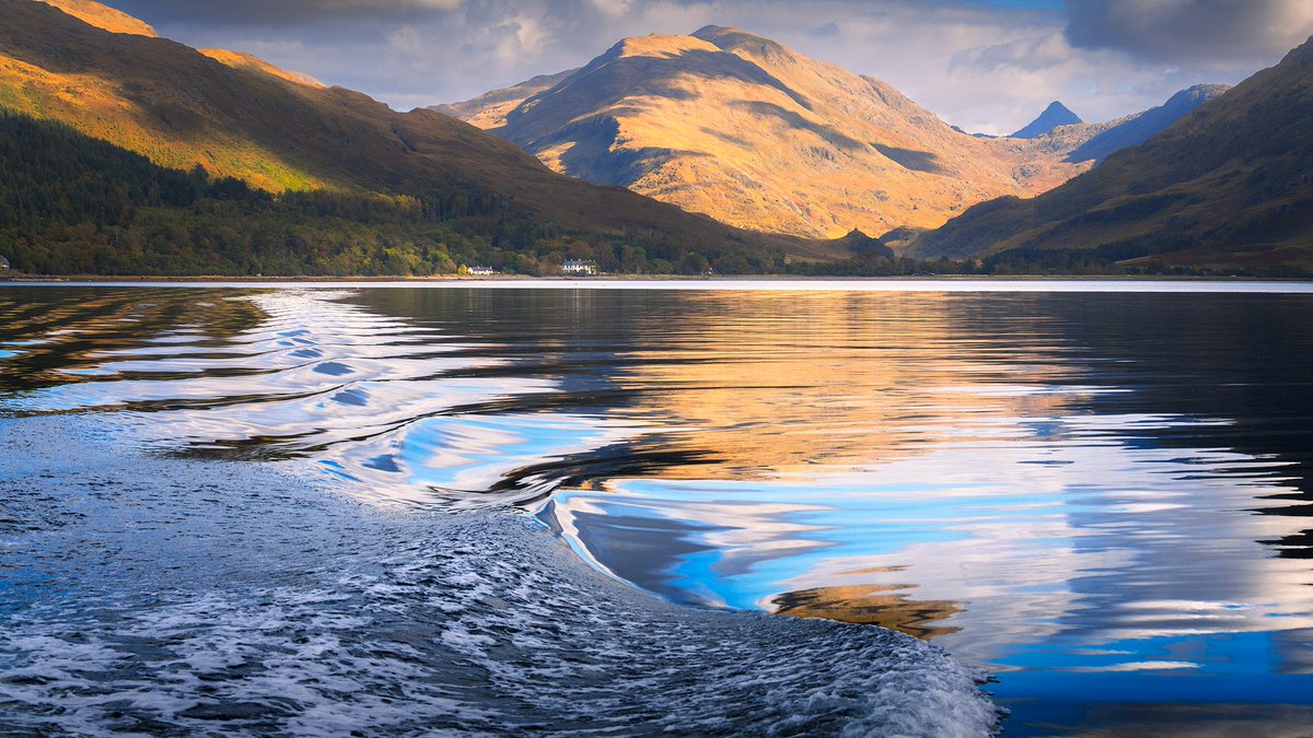 Damian Shields tweet media