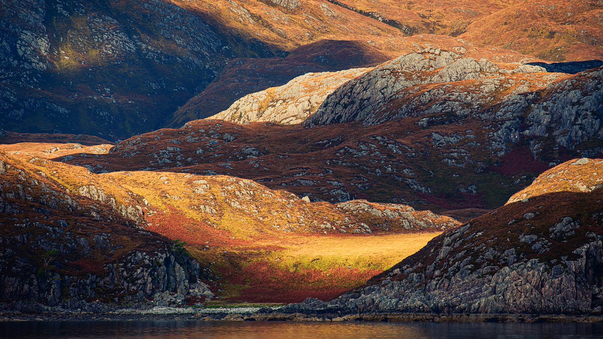 Damian Shields tweet media